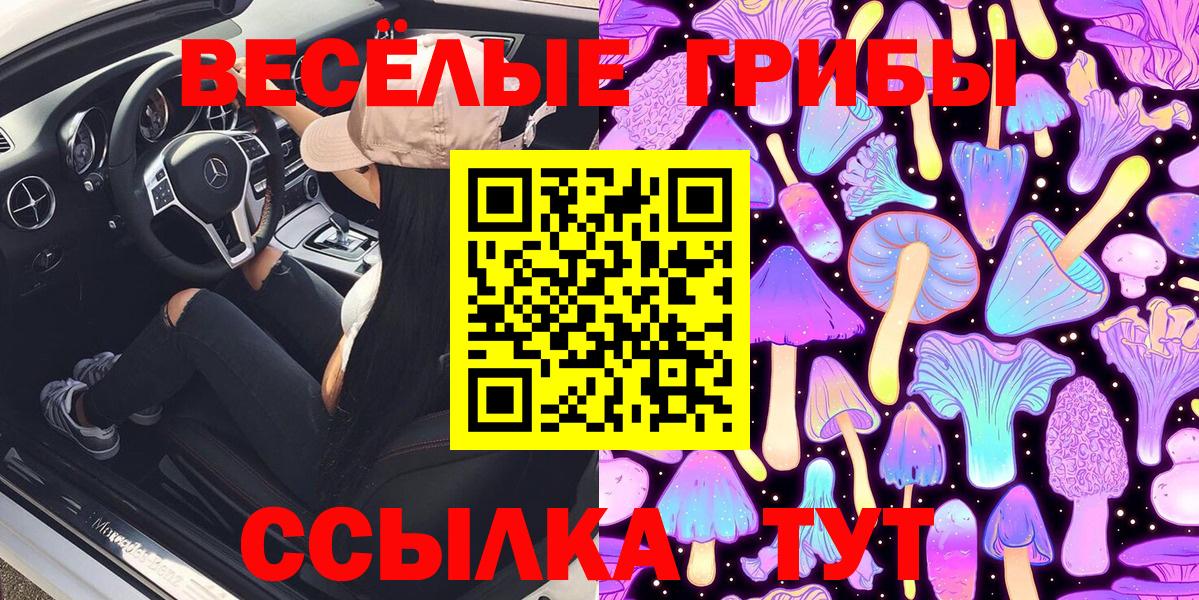 Галлюциногенные грибы мицелий  Псилоцибиновые грибы мицелий  Вход с VPN  Новочебоксарск 