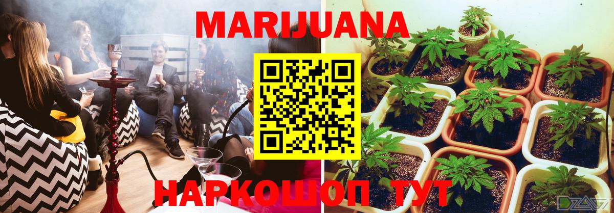 Конопля план  Канабис LSD WEED  Вход с VPN  Марихуана VHQ  Новочебоксарск 
